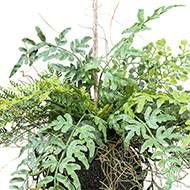 Kokedama plante artificielle fougère mixte D 25 cm