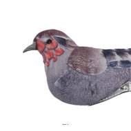 Joli oiseau artificiel avec pince, H 5 cm, L 4 cm, l 16 cm
