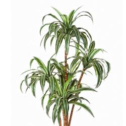Dracaena artificiel H 120 cm 110 feuilles 5 troncs en pot