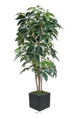 Schefflera factice en pot Iroto tronc nature belle densité H150cm Vert