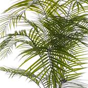 Palmier Areca artificiel H 175 cm en plastique anti-UV en pot