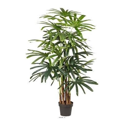 Palmier Raphis Artificiel en pot H 155 cm Vert