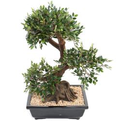 Bonsa Orme de Chine Artificiel H 70 cm D 55 cm en pot