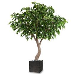 Htre Artificiel H 360 cm D 280 cm 8850 feuilles en pot