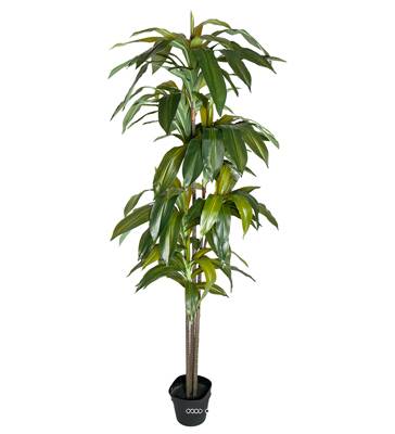 Dracaena plante artificielle en pot H160 cm 4 têtes D70 cm très dense