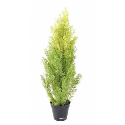 Cyprès artificiel en pot anti-UV pour extérieur H 90 cm Vert-jaune