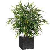 Bambou artificiel touffe H 105 x D 105 cm extérieur anti-UV