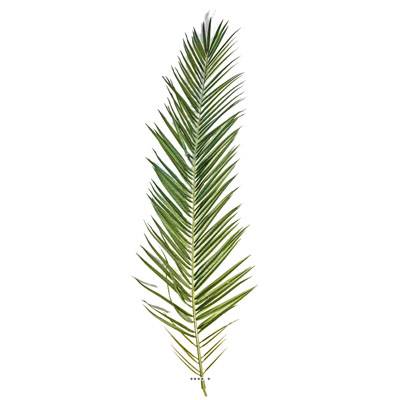 Set de 15 feuilles artificielles de Palmier Phoenix Canariensis L188 cm