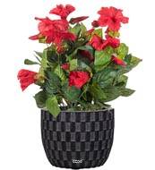 Petunia artificiel en pot H 38 cm 20 fleurs lumineux Rouge