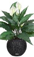 Spathiphyllum artificiel en pot H 43 cm 20 feuilles et 5 fleurs