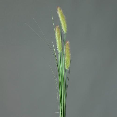 Chatons artificiels avec isolepsis H 85 cm