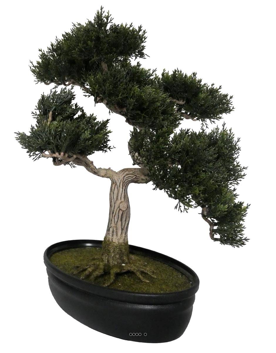 Bonsai artificiel Cedre H 43 X 40 CM 318 feuilles