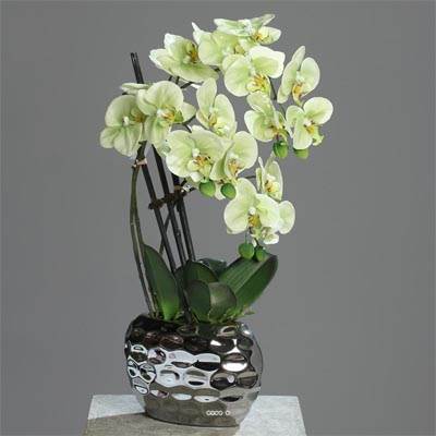 Orchidée factice 3 hampes en pot céramique Argent H55cm Crème vert
