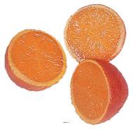 Demi Orange artificielle luxe en lot de 3 en Plastique soufflé D 65 mm