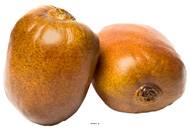 Kiwi artificiel en lot de 2 en Plastique soufflé D 65x70 mm