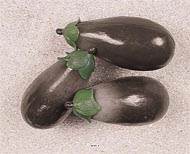 Aubergines artificielles en lot de 3 en Plastique souffl L 135x60 mm