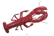 Homard americain artificiel en Plastique soufflé L 500x180 mm