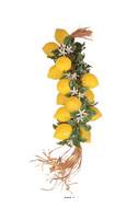 Grappe de 20 citrons artificiels en Plastique souffl L 50 cm