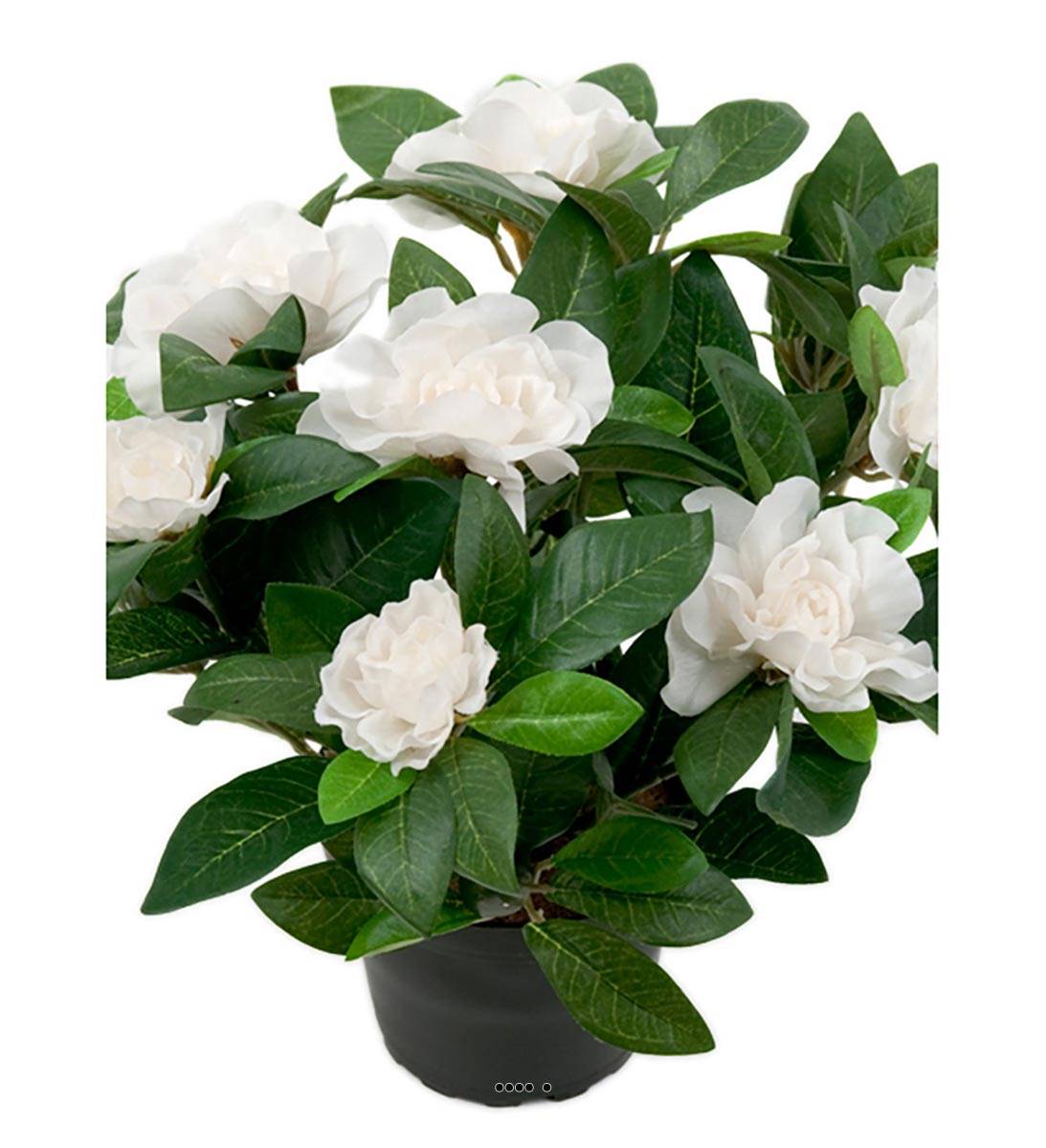 Gardenia Plante fleurie artificielle 8 fleurs H 25 cm en pot du site  Artificielles.com.