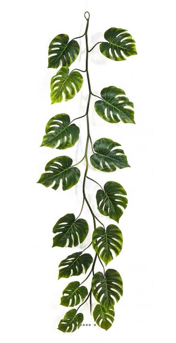 Guirlande de feuilles de philodendron H 230 cm largeur 70 cm du site