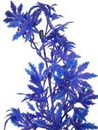 Branche de feuilles de Papaye factice H35cm plastique ext Bleu royal