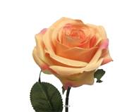 Rose factice Paris H64cm tête D9cm 12 feuille tissu Orange clair BEST