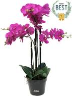 Orchidée Phalaenopsis factice Top Qualité & pot H60cm Rose fushia-BEST