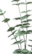 Eucalyptus artificiel en branche, 5 ramures, H 90 cm - BEST