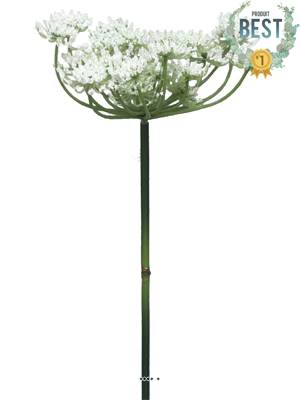 Fleur de carotte sauvage artificielle en tige, H 72 cm Crème - BEST