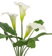 Arum calla artificiel en pot, 3 têtes de fleurs, H 40 cm Crème