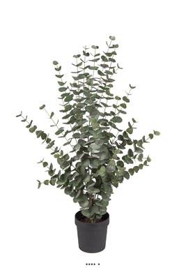 Eucalyptus cinerea artificiel en pot  H 110 cm, D 70 cm