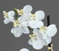 Orchidée phalaenopsis artificielle en pot céramique, H 30 cm Crème