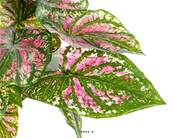 Caladium artificiel en piquet 23 feuilles, H 34 cm Vert Rose