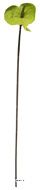 Anthurium artificiel H 67 cm Vert-jaune