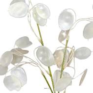 Branche de la monnaie du pape artificielle H 65 cm