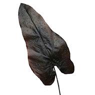 Feuille de caladium artificiel en tige H 80 cm Noir