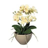 Fausse orchidée en pot céramique H 35 cm adorable Crème vert