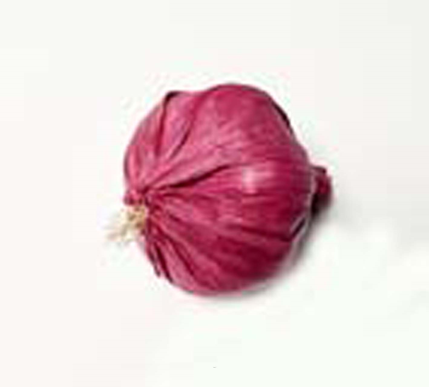 Tete d'ail artificielle D 5,5 cm et H 6,5 cm environ ail violet