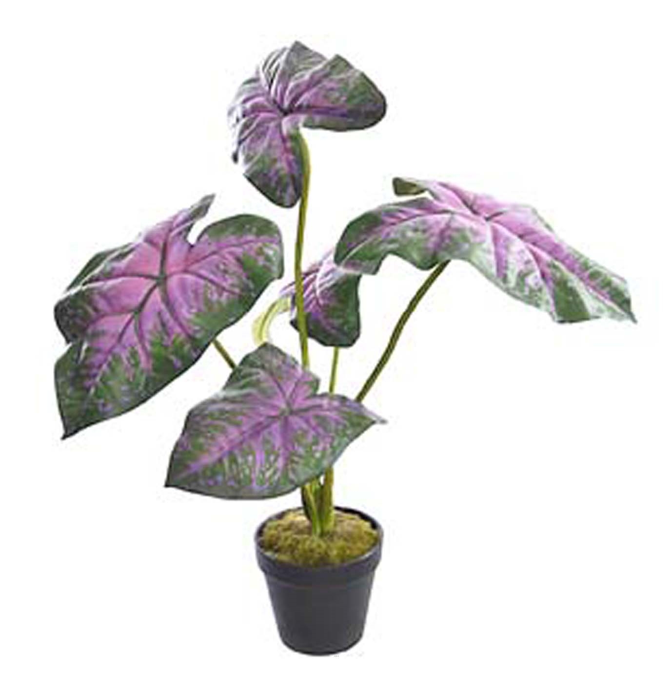 Caladium artificiel en pot H 35 cm D 30 cm Grandes feuilles tissu vert rose