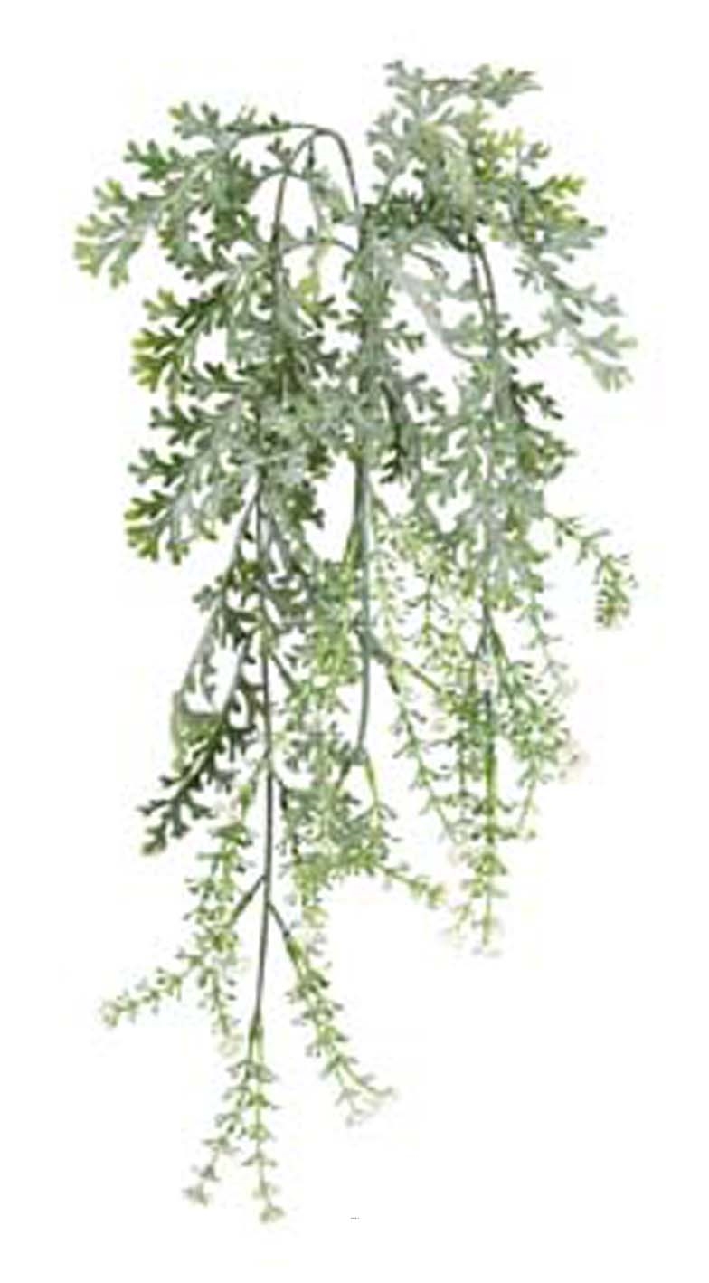 Chute de senecio cineraria artificiel en fleurs Longueur 65 cm plastique