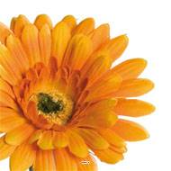 Gerbera artificiel, H 56 cm - D 11 cm superbe Orange