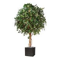 Ficus exotique géant artificiel H 315 cm 6600 feuilles en pot