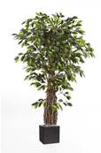 Ficus lianes artificiel luxe H 240 cm 3584 feuilles gros tronc en pot