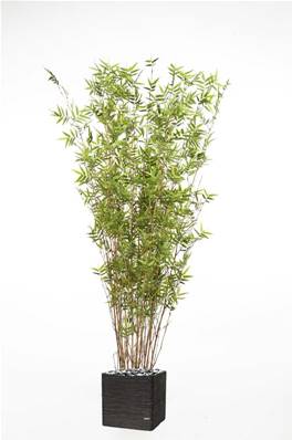 Bambou Oriental Artificiel H 160 cm 2400 Feuilles cannes fines en pot