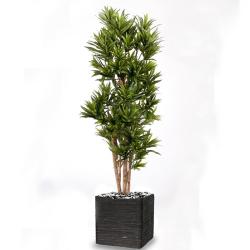 Dracaena reflexa artificiel Vert H 120 cm 1002 feuilles en pot