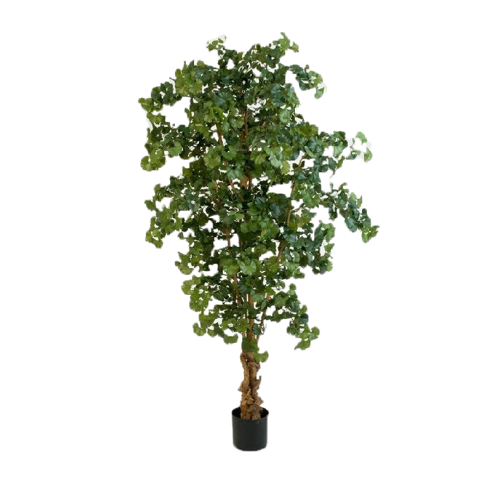 Gingko forestier artificiel H 210 cm 1612 feuilles en pot