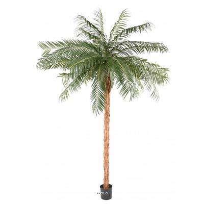 Palmier Phoenix artificiel finition Luxe H 340 cm très belle tête