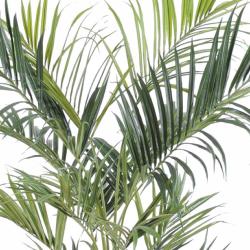 Palmier Kentia Artificiel Royal H 180 cm D 90 cm 14 palmes en pot