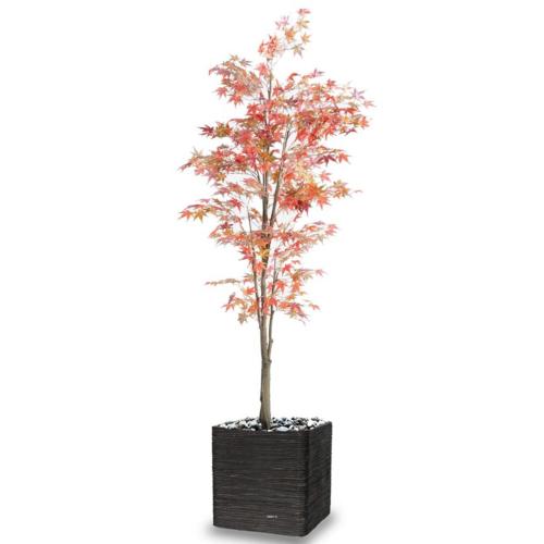 Aralia Arbre Artificiel H 220 cm D 90 cm Automne en pot