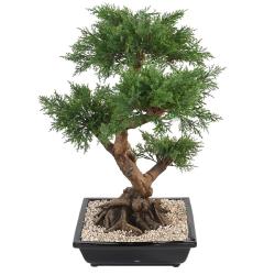 Bonsaï Genévrier Artificiel H 75 cm D 50 cm en pot